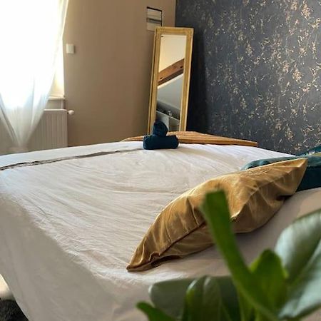 Appartement De Charme 80M2 Givors Eksteriør bilde