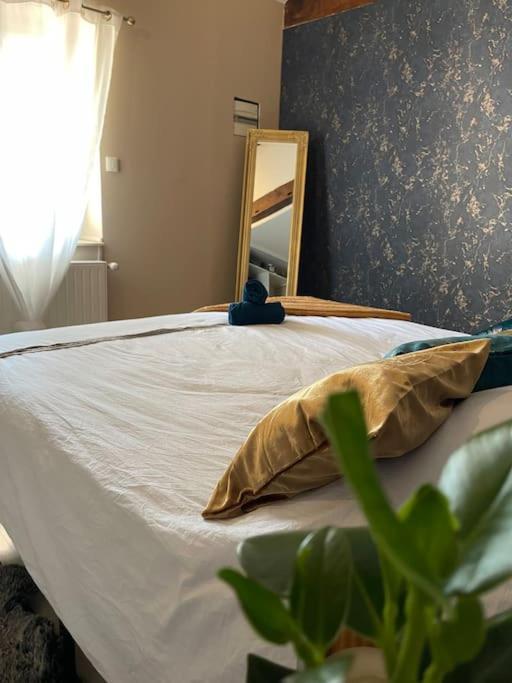 Appartement De Charme 80M2 Givors Eksteriør bilde