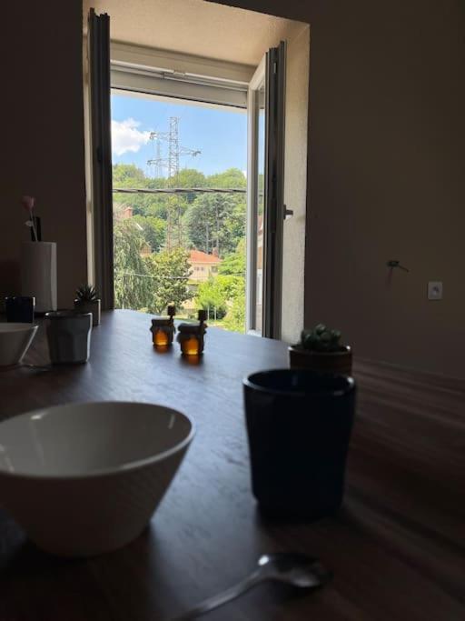 Appartement De Charme 80M2 Givors Eksteriør bilde