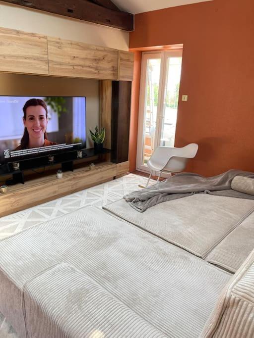 Appartement De Charme 80M2 Givors Eksteriør bilde