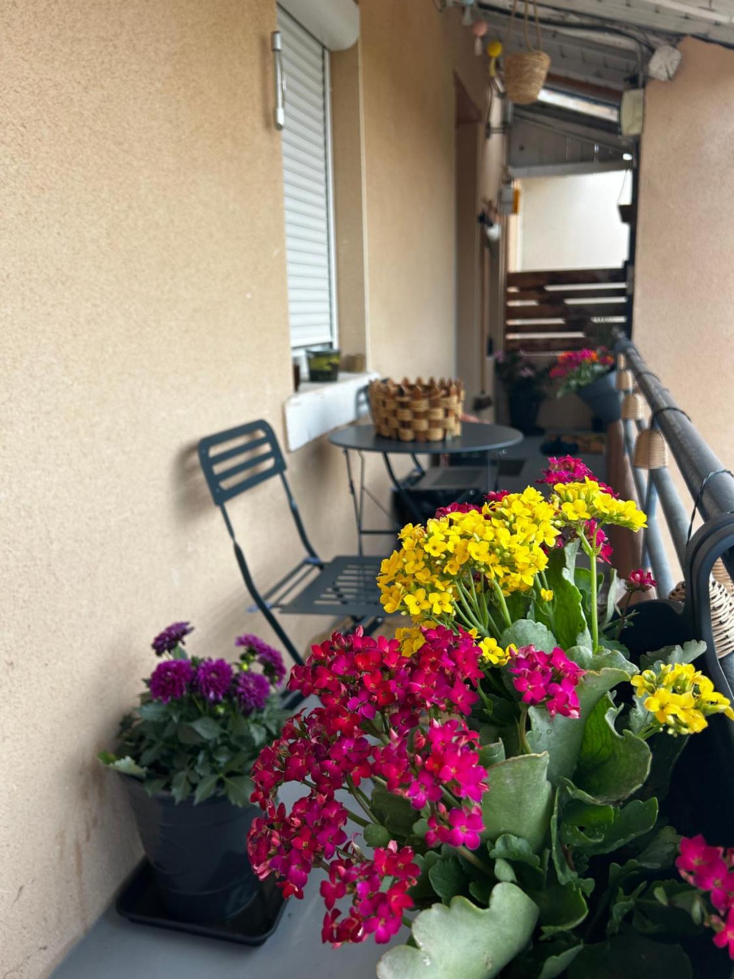 Appartement De Charme 80M2 Givors Eksteriør bilde